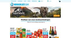 Desktop Screenshot of hoogvliet.com